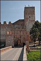 DSC_6654.JPG