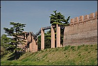 DSC_6659.JPG