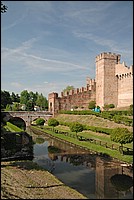 DSC_6661.JPG