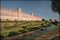 DSC_6664.JPG
