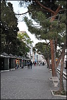 DSC_6738.JPG