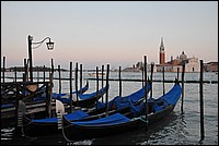 DSC_6740D.jpg