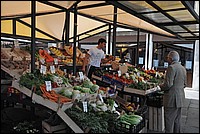 DSC_6869.JPG