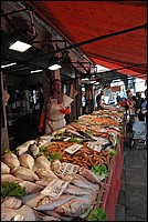 DSC_6880.JPG
