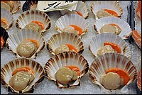 DSC_6909E.jpg