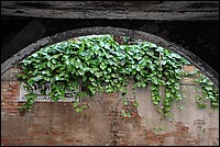 DSC_6919.JPG