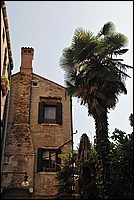 DSC_6923.JPG