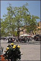 DSC_6971.JPG