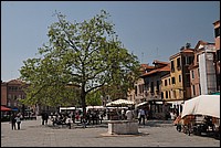 DSC_6972.JPG