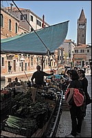DSC_6998E.jpg