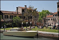 DSC_7029.JPG