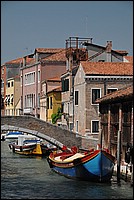 DSC_7039.JPG