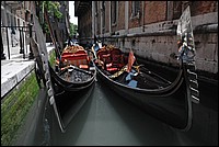 DSC_7091.JPG