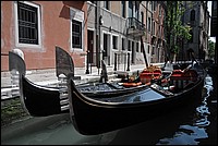 DSC_7098.JPG