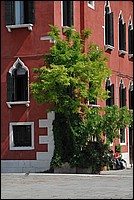 DSC_7103.JPG