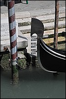 DSC_7120.JPG