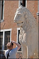 DSC_7184DE.jpg