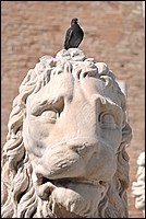 DSC_7190.JPG