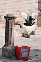 DSC_7205.JPG