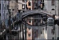 DSC_7261C.jpg