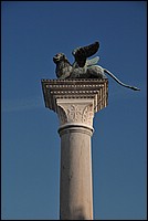 DSC_7349.JPG