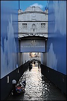 DSC_7372.JPG