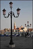DSC_7373.JPG