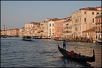 DSC_7390.JPG