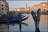 DSC_7395.JPG