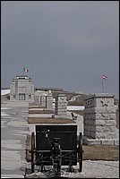 DSC_7522D.jpg