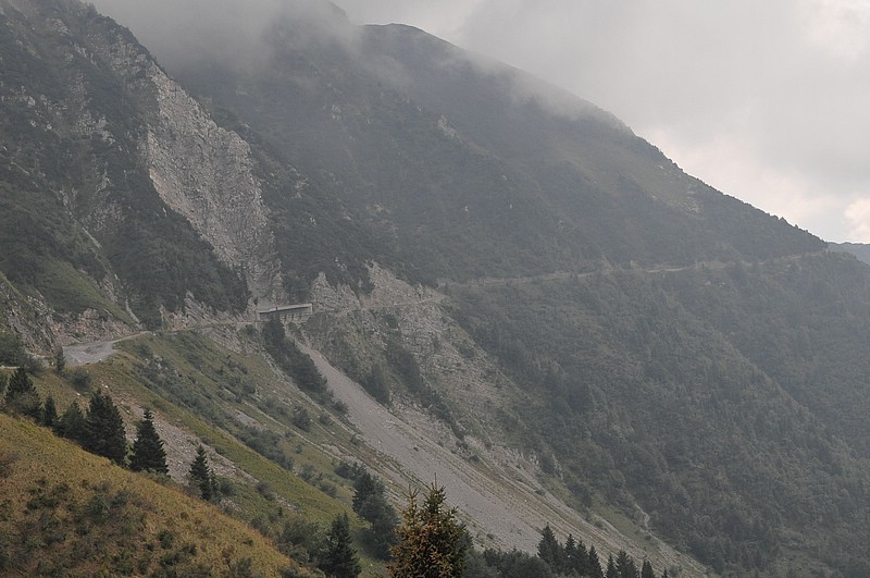 DSC_1349.JPG