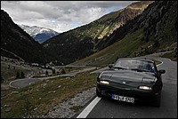 DSC_0487.JPG