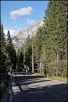 DSC_0523.JPG