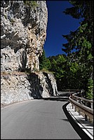 DSC_0537.JPG