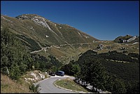 DSC_0563.JPG