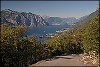 DSC_0709D.jpg