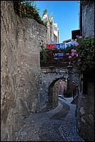 DSC_0733.JPG