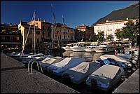 DSC_0764.JPG
