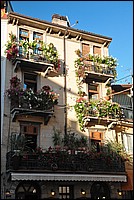 DSC_0778.JPG