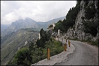 DSC_1303.JPG