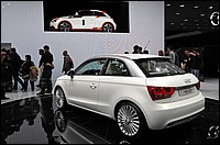 DSC_4909D.jpg
