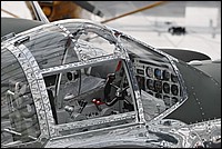 DSC_3956.JPG