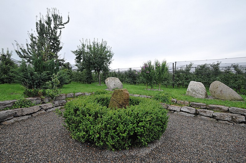 DSC_9228.JPG
