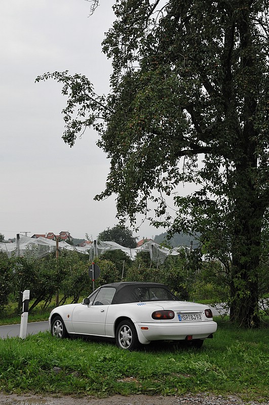 DSC_9237.JPG