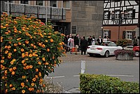 DSC_8983.JPG