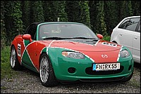 DSC_9234.JPG