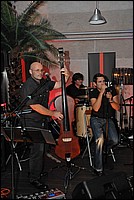 DSC_9291.JPG