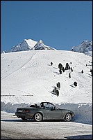 DSC_4543.JPG