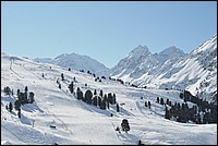DSC_4594.JPG