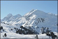 DSC_4597.JPG